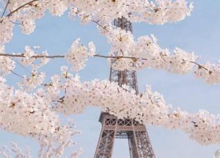 La Tour Eiffel : Symbole éternel de Paris