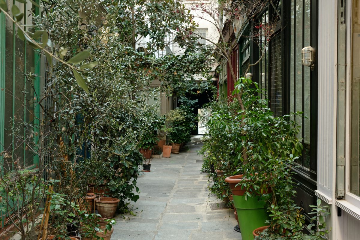 Passage de l'Ancre: charming secret and verdant cobbled lane in the heart of Paris